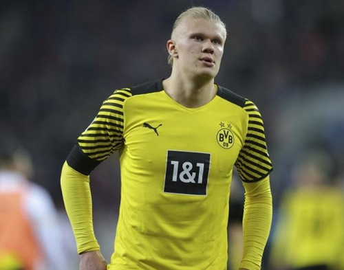 不要和春天 不要和春天